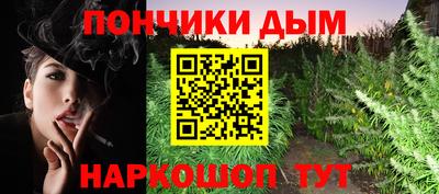 индика Аргун