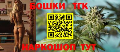 индика Аргун