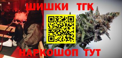 индика Аргун