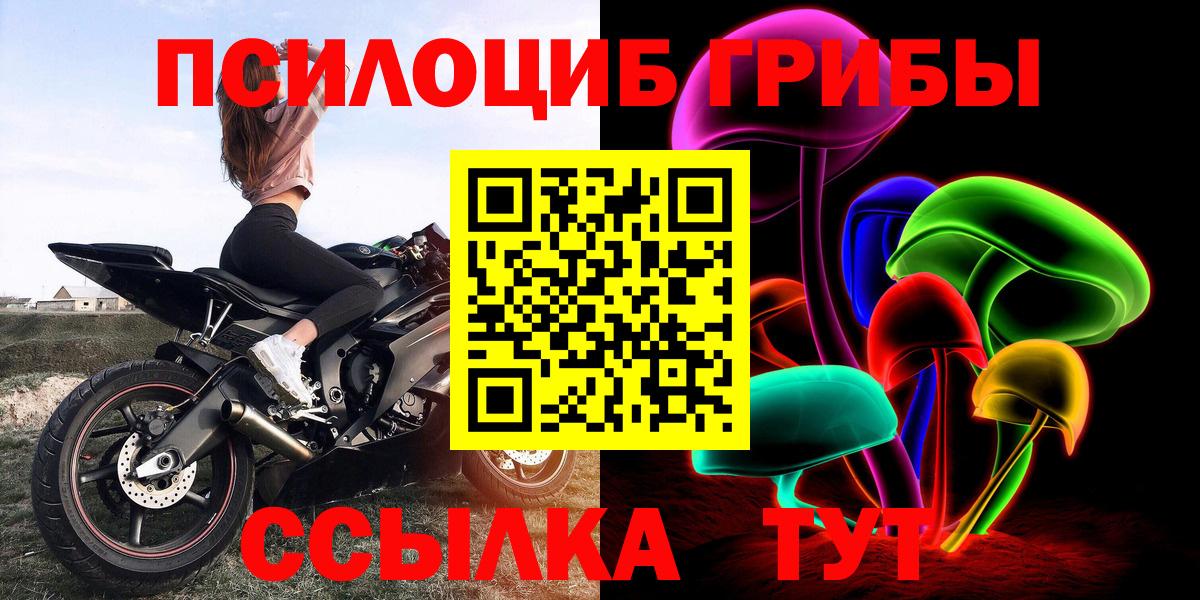 Галлюциногенные грибы Magic Shrooms Владивосток